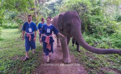 Mae Tang - Elephant Care