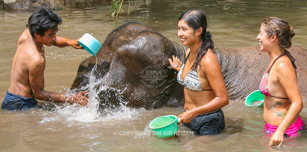 Mae Tang - Elephant Care