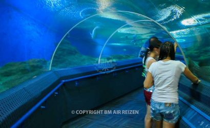 Pattaya - Underwater World Pattaya