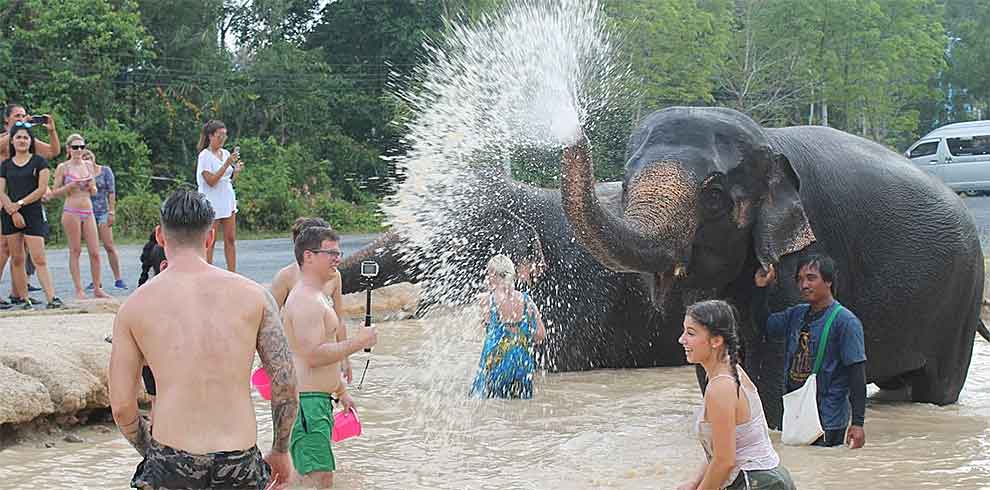 Phuket - Green Elephant Sanctuary Park