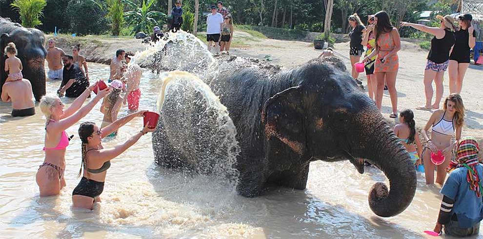 Phuket - Green Elephant Sanctuary Park