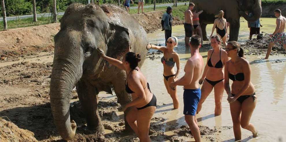 Phuket - Green Elephant Sanctuary Park