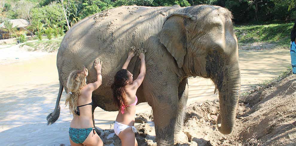 Phuket - Green Elephant Sanctuary Park