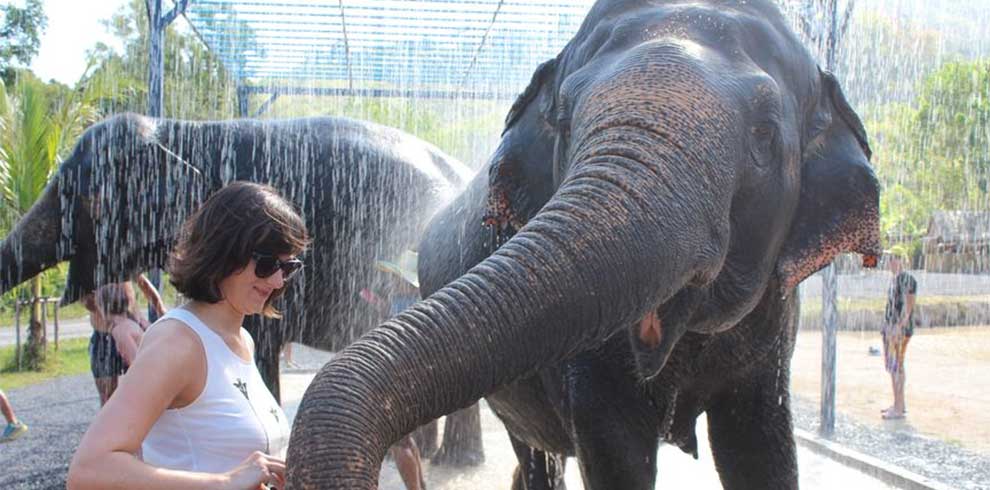 Phuket - Green Elephant Sanctuary Park