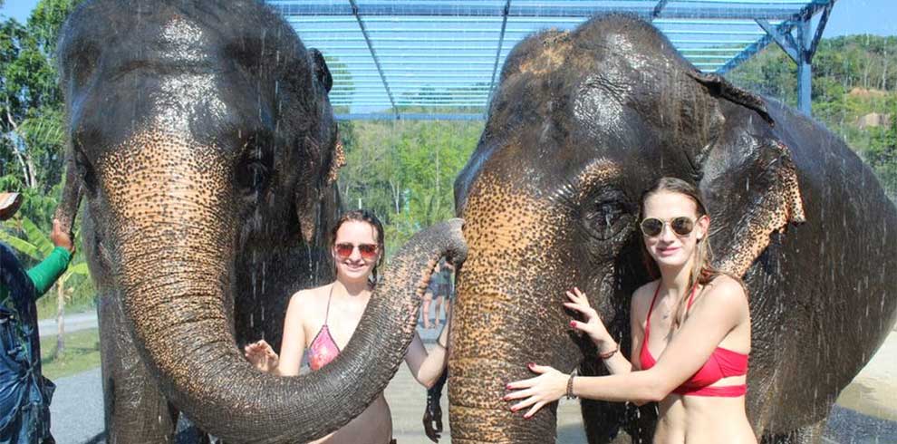 Phuket - Green Elephant Sanctuary Park