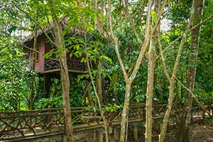 Khao Sok Paradise Resort