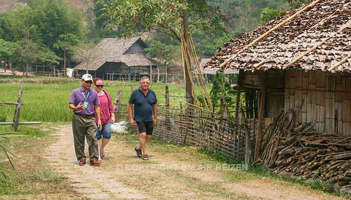 Chiang Mai - bergstam