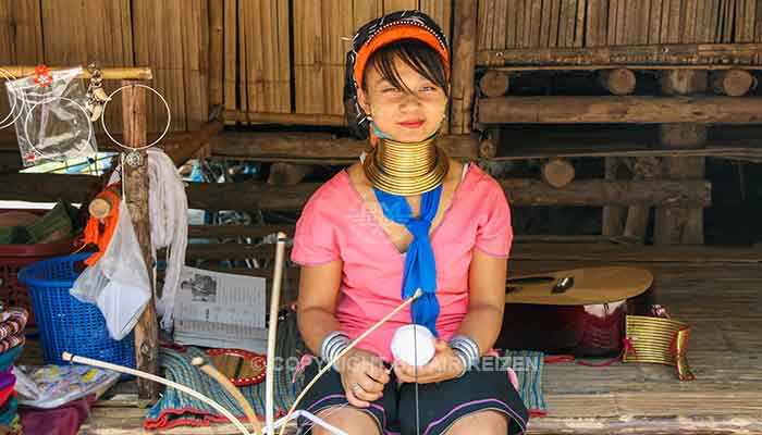 Chiang Mai - bergstam