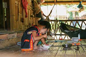 Chiang Mai - bergstam