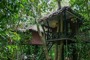 Khao Sok Paradise Resort