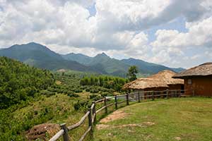 Pai