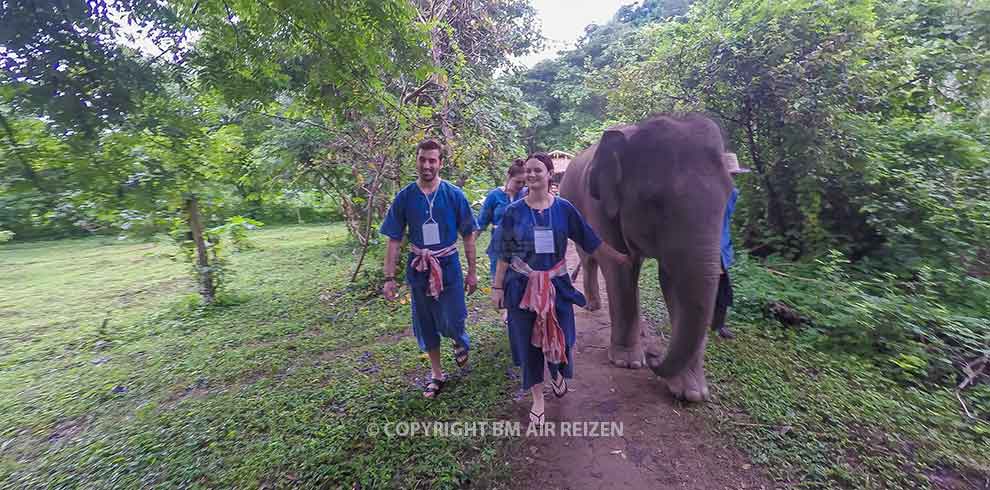 Mae Tang - Elephant Care