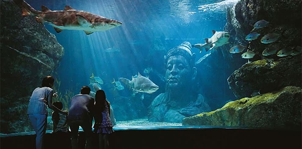 Bangkok - Sea Life Ocean World