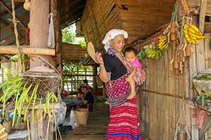 Chiang Mai - bergstam