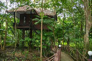 Khao Sok Paradise Resort