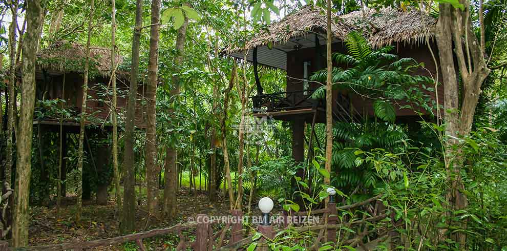 Khao Sok Paradise Resort