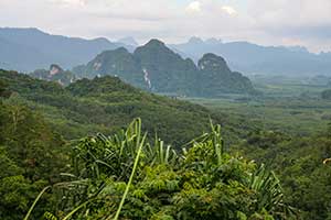 Khao Sok National Park