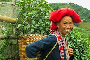 Sapa - bergstammen