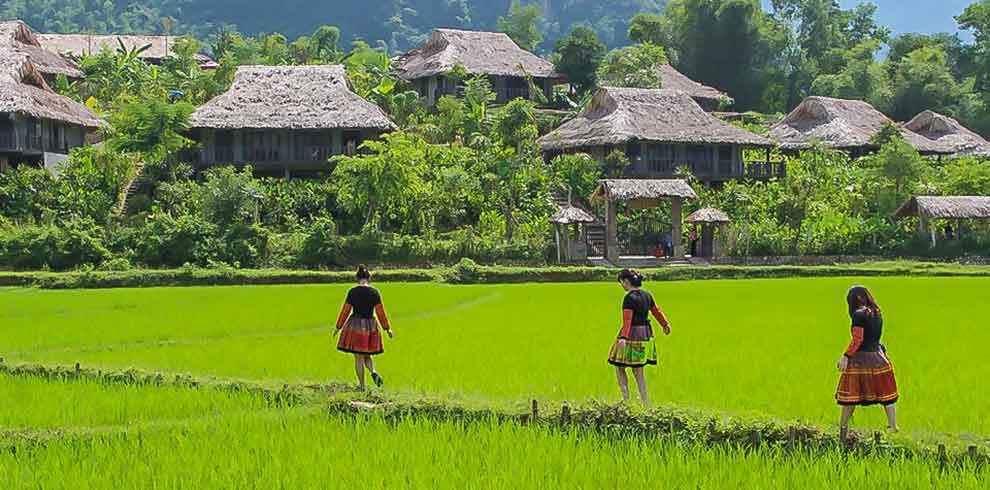 Noord-Vietnam ontdekken