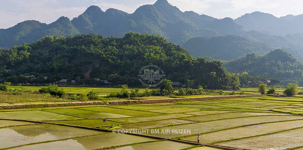 Mai Chau