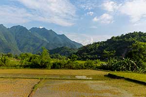Mai Chau