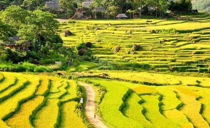 Mai Chau