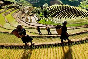 Sapa - Ta Van