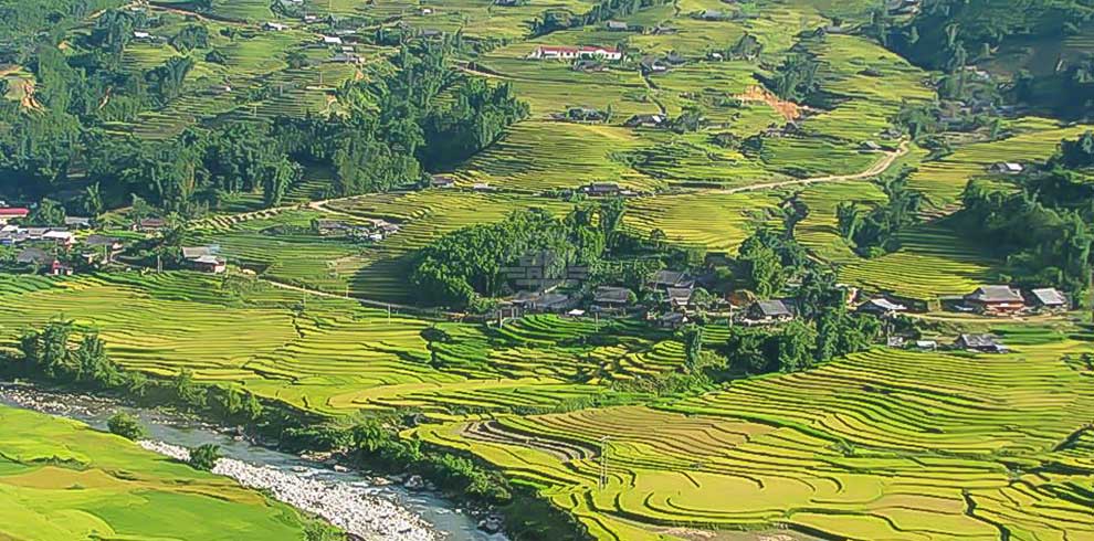 Sapa - rijstterrassen