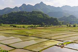 Mai Chau