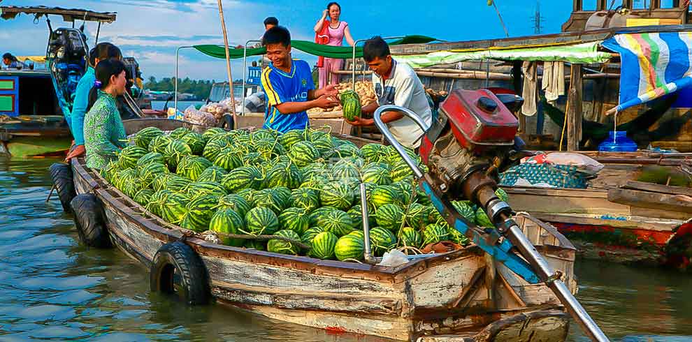 Vietnam Dragon Land Tour