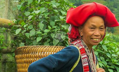 Sapa - Hill Tribes