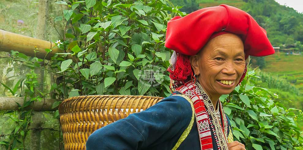 Vietnam Hill Tribes & Nature