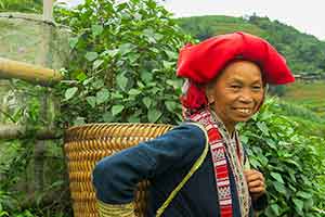 Sapa - bergstammen